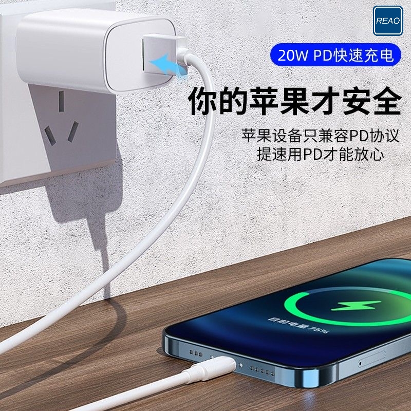 泺澳(REAO) A+C双口充电器X5白色高清大图