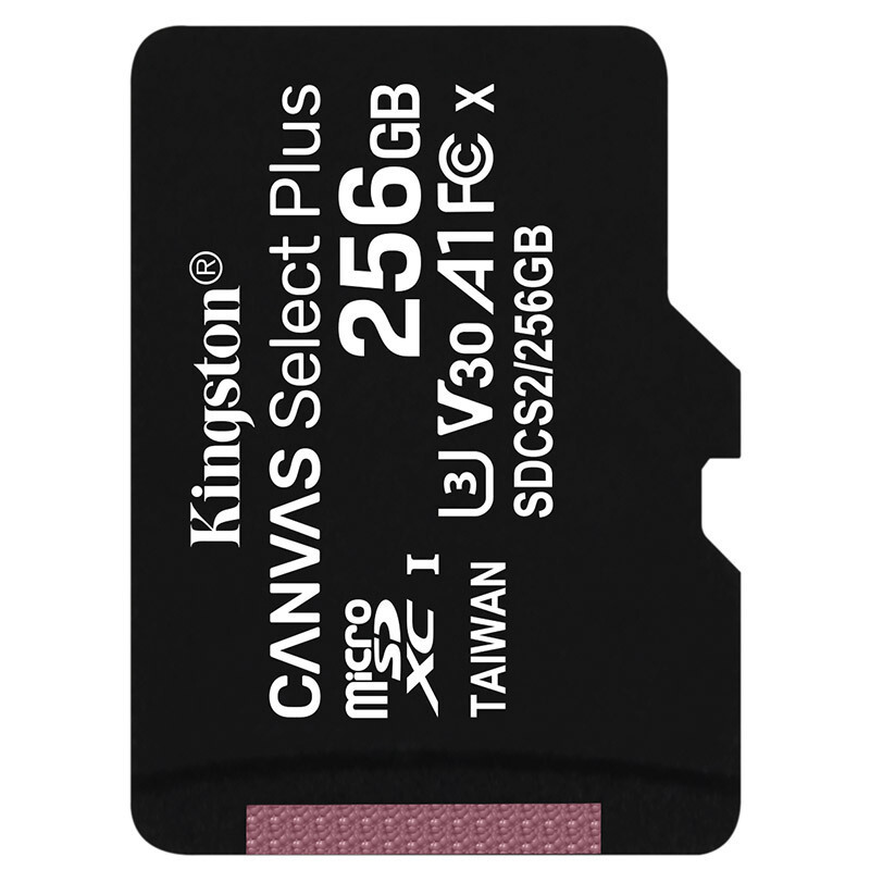 金士顿(Kingston)256GB 读速100MB/s switch内存卡(MicroSD) TF 存储卡 高品质拍摄