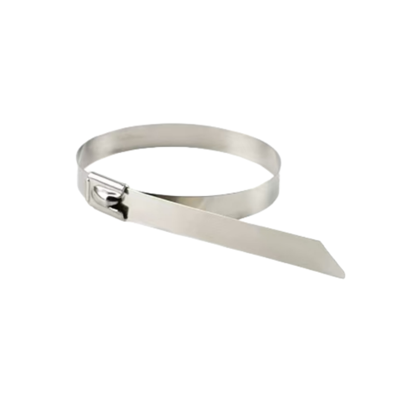 苏宇安 不锈钢扎带 16*2800mm 根高清大图