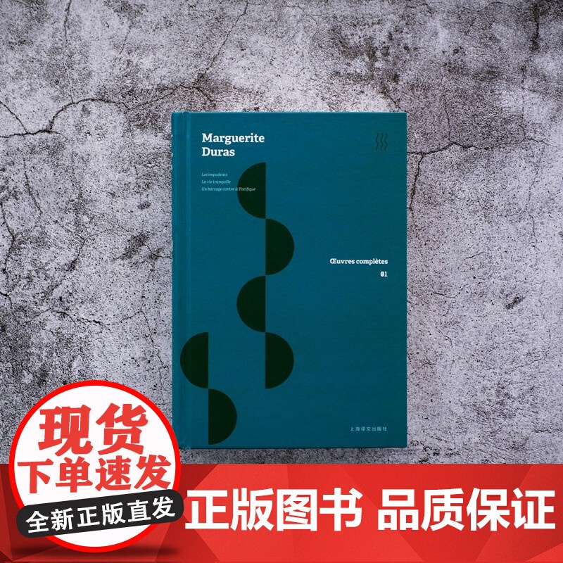 堤坝 杜拉斯全集1 杜拉斯全集 玛格丽特·杜拉斯 著 文学高清大图
