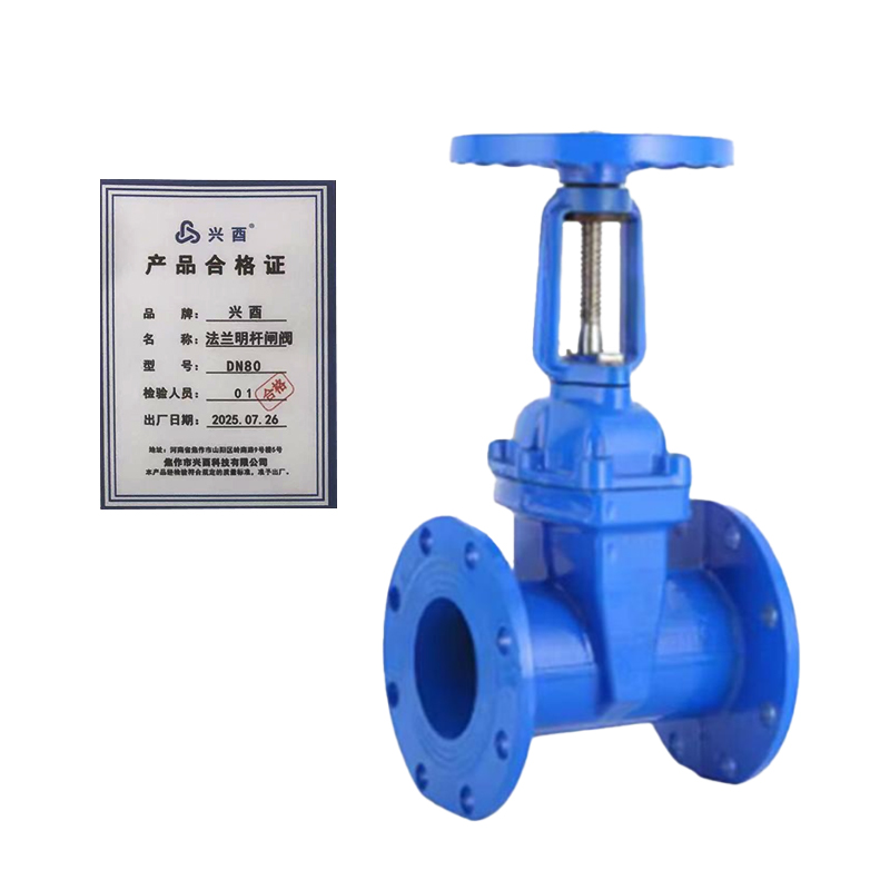 兴酉 法兰明杆闸阀 DN80 个高清大图