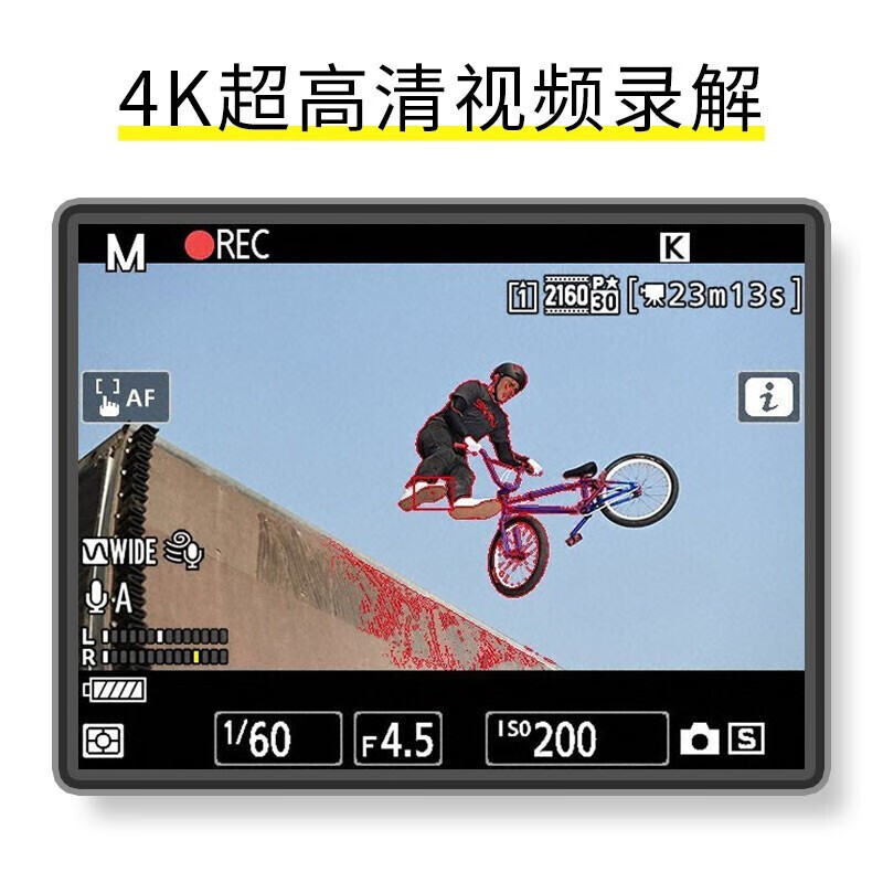尼康(Nikon) D6 全画幅数码单反相机 高清专业连拍 单机机身/不含镜头高清大图