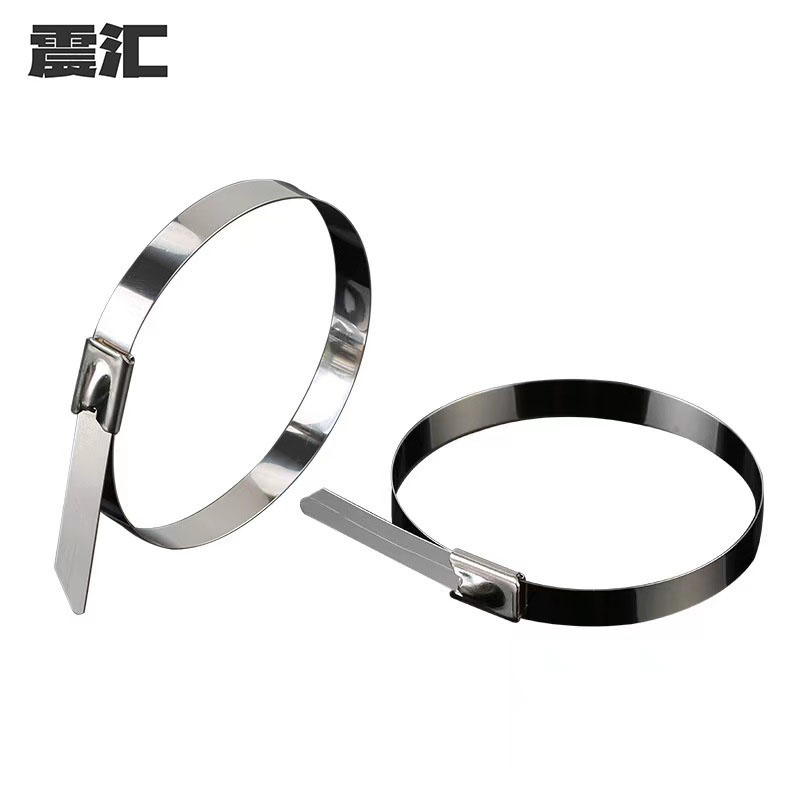 震汇 不锈钢扎带 4.6*400 条高清大图