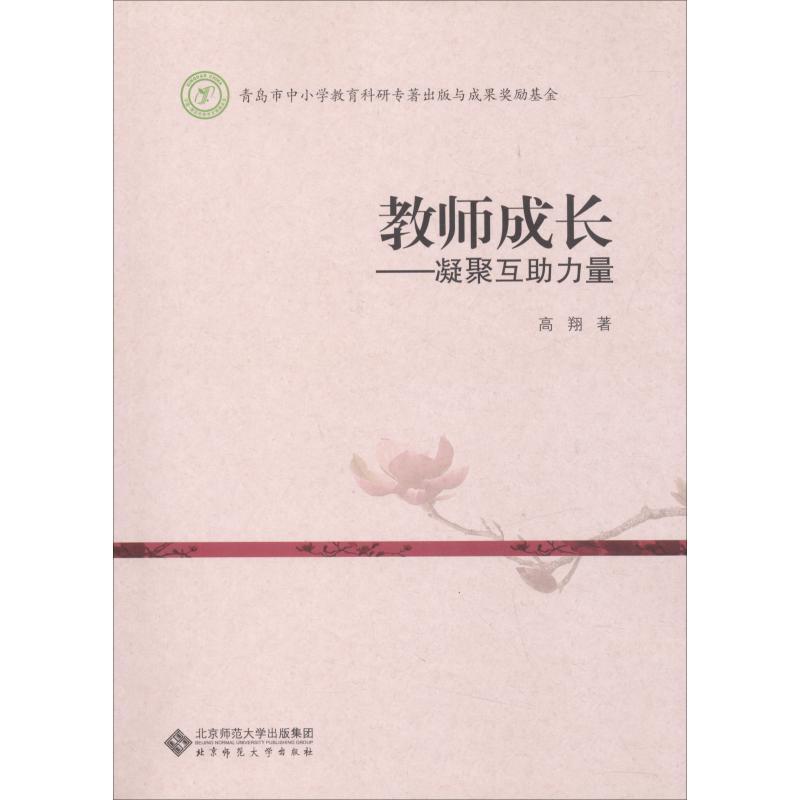 正版新书】教师成长——凝聚互助力量高翔9787303228744