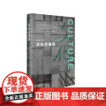 文化价值观 精装 朱鸿召 文化认同 价值理念 华东师范大学出版社