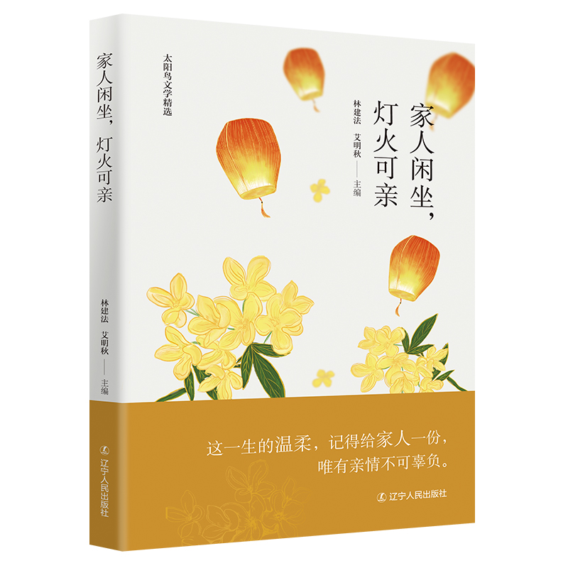 醉染图书家人闲坐,灯火可亲9787205104924高清大图