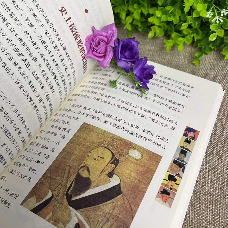 [正版]历史的天空:历史上的囧人囧事 以事件为纬囊括政治经济军事科技文学医学诸多领域中奇闻奇事 人物传记故事书