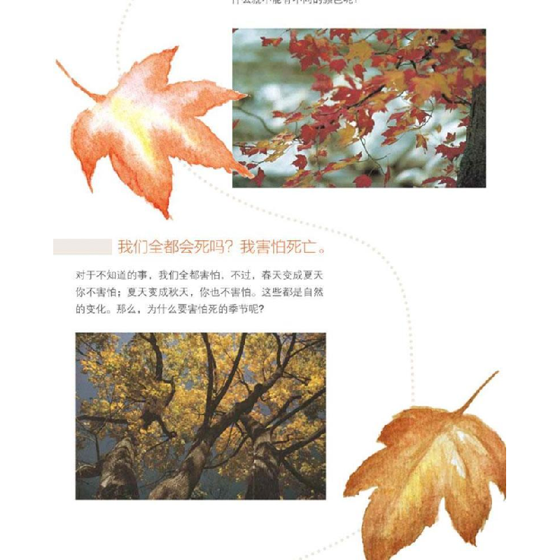 正版新书]一片叶子落下来利奥·巴斯卡利亚 著 任溶溶 译97875442高清大图