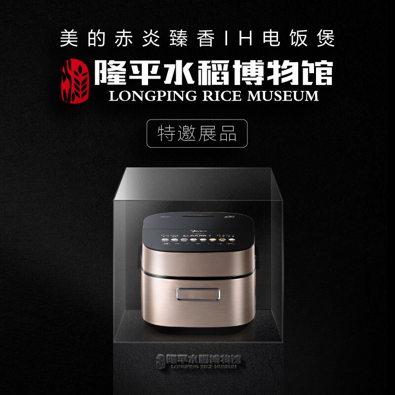 美的(Midea) MB-SFB4021H 4L 电饭煲 (计价单位:台) 雅仕金
