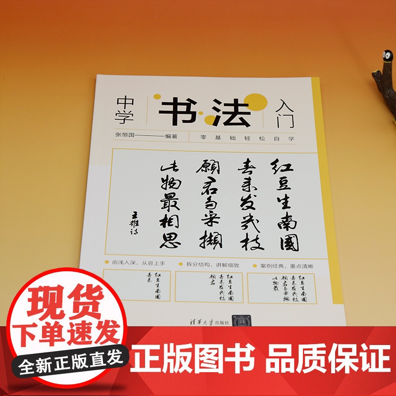 [正版新书]中学书法入门 张恒国 清华大学出版社 书法课-中学-教材高清大图