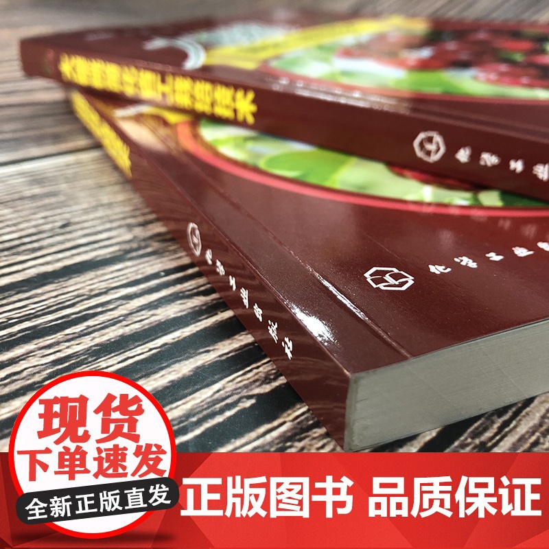 大樱桃简化省工栽培技术 甜樱桃高效栽培书籍 车厘子樱桃树种植技术大全 土肥水管理技术整形修剪技术病虫害综合防治技术应用书高清大图