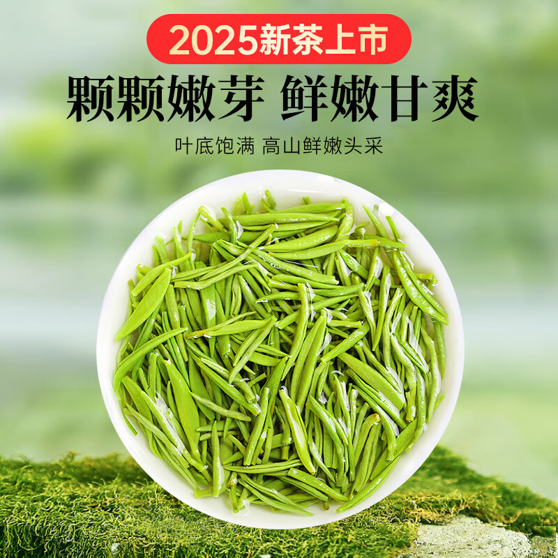 贡苑绿茶2025新茶 头采芽特级毛尖250g 明前嫩芽栗香茶叶礼盒装高清大图