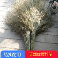 宝家洁 大号 大扫把 (宁享版)