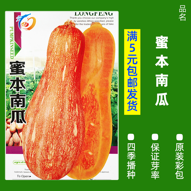 【补贴10%】四季蔬菜种子青菜香菜白菜生菜小葱黄瓜阳台盆栽香瓜冰糖 B85-蜜本南瓜55粒 均码