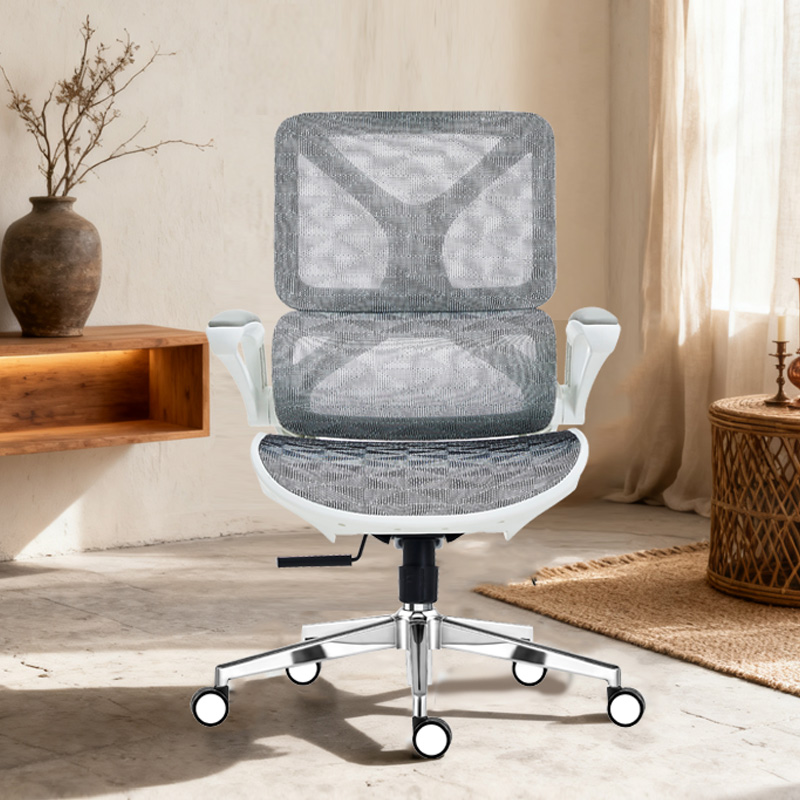 臻远 ZY-8944 办公椅人体工学椅转椅 白框 单位:把高清大图