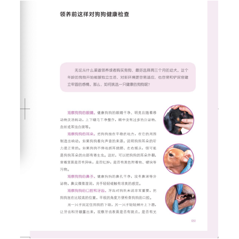 音像养狗,这一本就够了艾虎