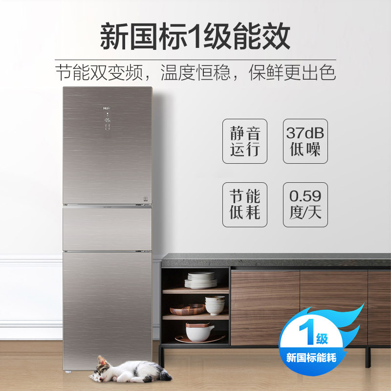 海尔(Haier) BCD-256WDGR 冰箱 256升风冷无霜变频三门冰箱干湿分储全温区变温DEO净味保鲜