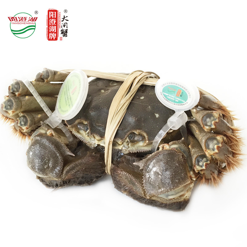 阳澄湖牌有机大闸蟹吉祥如意398型