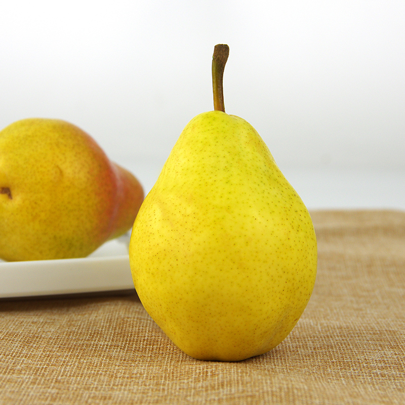 烟台太婆梨软茄梨大头梨子当季水果5斤新鲜整箱香蕉啤梨三天内发货