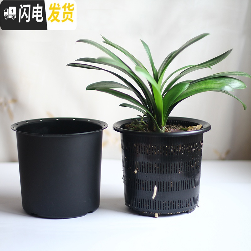三维工匠君子兰蝴蝶兰专用花盆透气塑料树脂月季控根花盆 内径20cm咖色[无托盘] 中等花盆容器