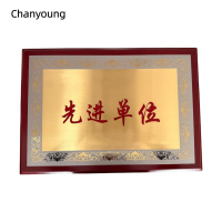 晨洋（Chanyoung）可定制奖牌摆件 HYBG010 块