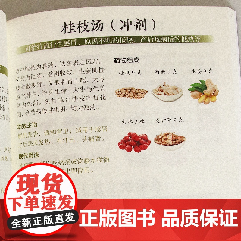 中药方剂轻图典 中药材图鉴大全百科书 中药方剂配伍书籍 常见中药材功效解读中药知识入门中医养生食疗书 对症调理养生药膳食高清大图