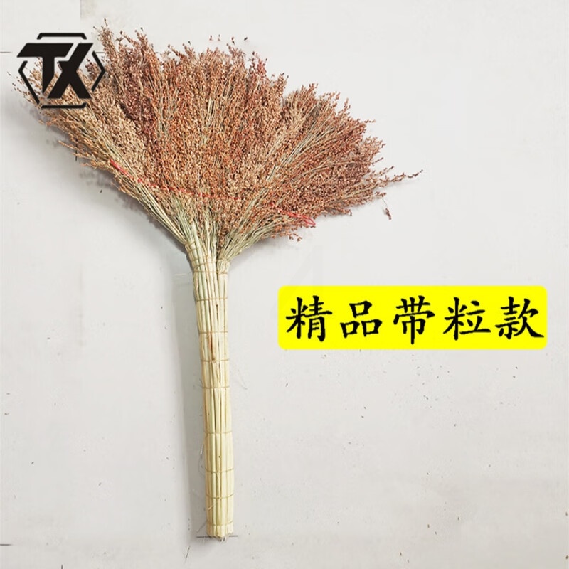 铁迅大扫把E69 把高清大图