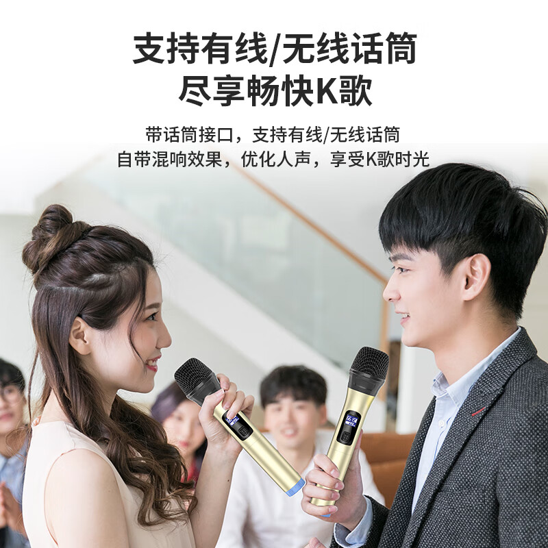 索爱(soaiy)SA-F33手提音响高低音户外k歌大音量广场舞电木吉他乐器音箱直播小型家用音箱 单麦高清大图