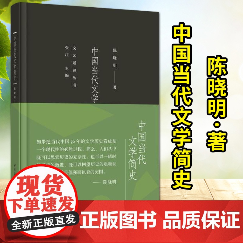中国当代文学简史 陈晓明著 中国社会科学出版社 文艺通识丛书高清大图