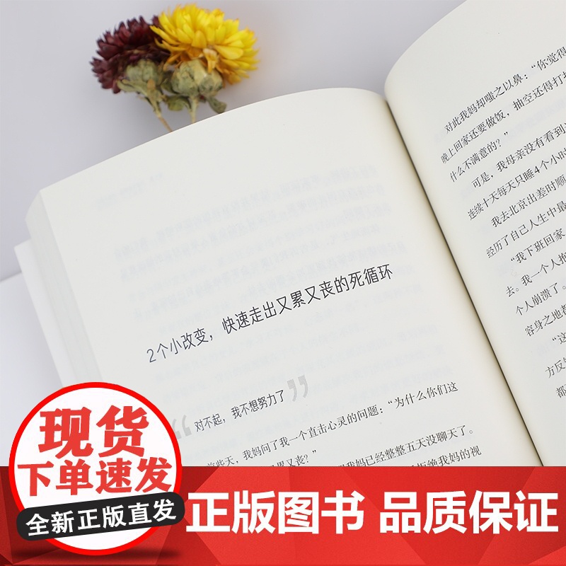 情绪稳定,人生自洽 (从起,告别emo小情绪!生动剖析22种常见的坏情绪,远离突如其来的沮丧、焦虑、愤怒……情绪掌控力,高清大图