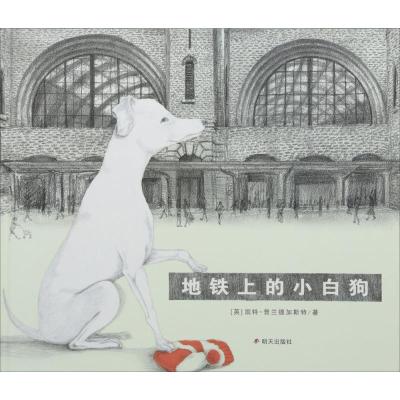 地铁上的小白狗