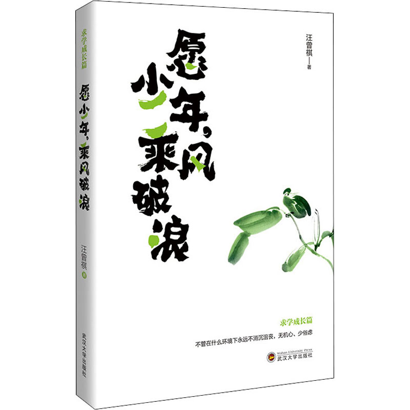醉染图书愿少年,乘风破浪9787307224681高清大图