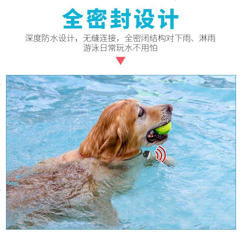 纽曼狗狗猫咪gps定位器犬宠物小型追踪仪无线跟踪器防丢神器项圈黑色款 全国定位 电子围栏 历史轨迹报价 参数 图片 视频 怎么样 问答 苏宁易购