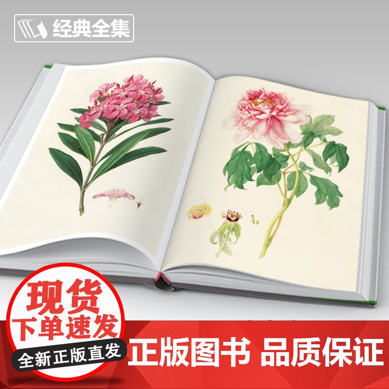 [精装2册]百花+百态动物插画集 西方大师手绘插画作品集水彩动物植物花卉插版画博物画图谱原作正版临摹教材书籍 杨建飞高清大图