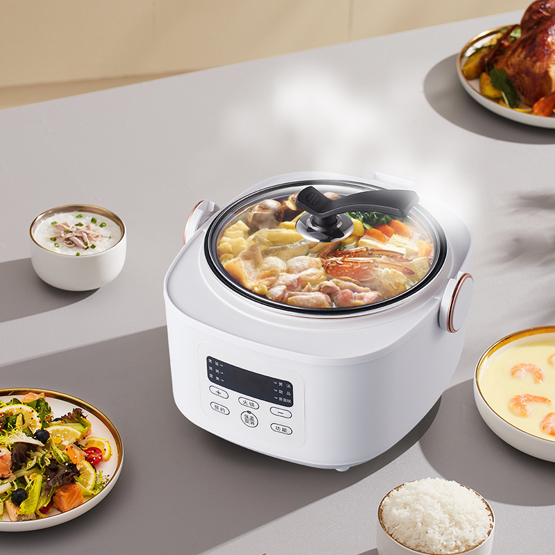 丽特斐 多功能智能电饭煲 3L容量XP-K3高清大图