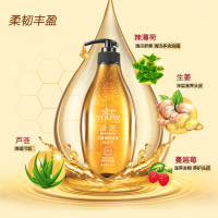滋源(SEEYOUNG)无硅油洗发水 生姜强根健发洗头水535ml 油性头皮适用