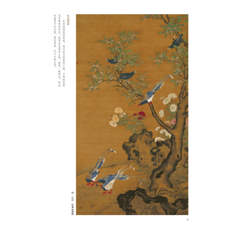 正版新书]中国历代绘画百图·菊花苏百钧 著9787540152864高清大图