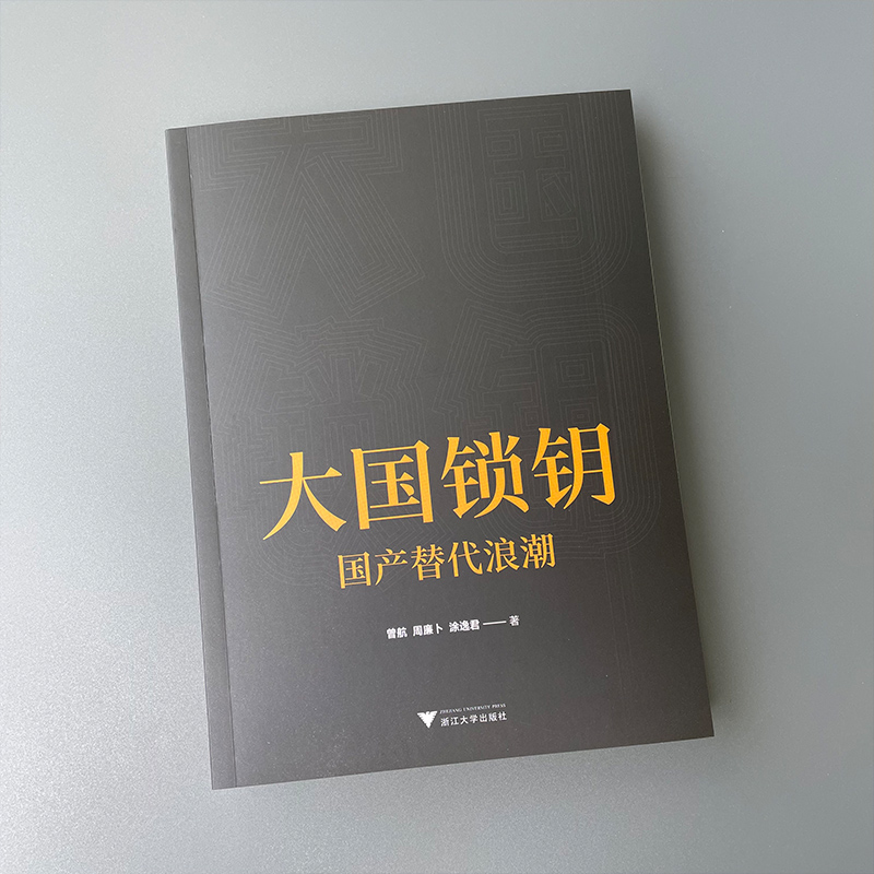 [正版]大国锁钥 国产替代浪潮 总结自主创新 国产替代产业规律 展现客观 真实的中国制造蜕变之路 经济通俗读物 书籍高清大图
