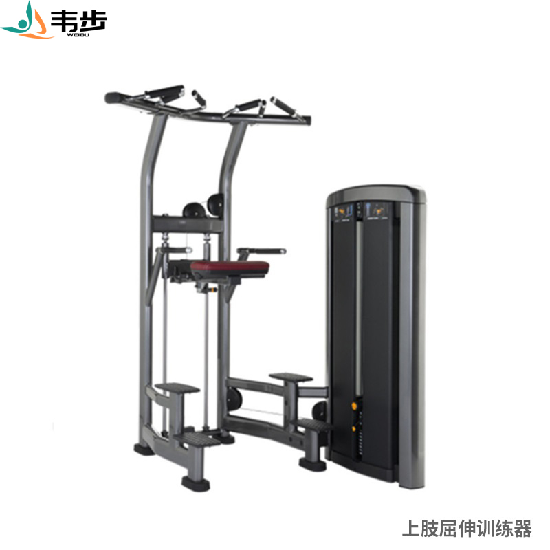 韦步LS506商用助力式单双杠辅助引体向上臂屈伸训练局部型力量器械高清大图