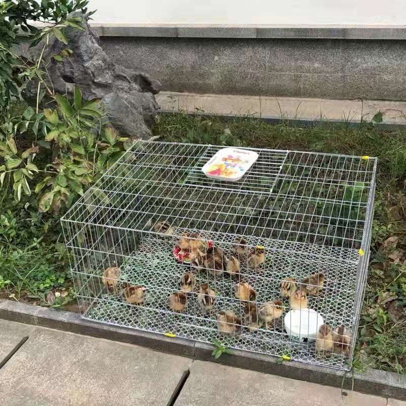 70x40x30 裸笼送卡扣 兔笼特大号兔子笼子荷兰猪豚鼠垂耳兔养殖笼宠物兔兔笼子家用