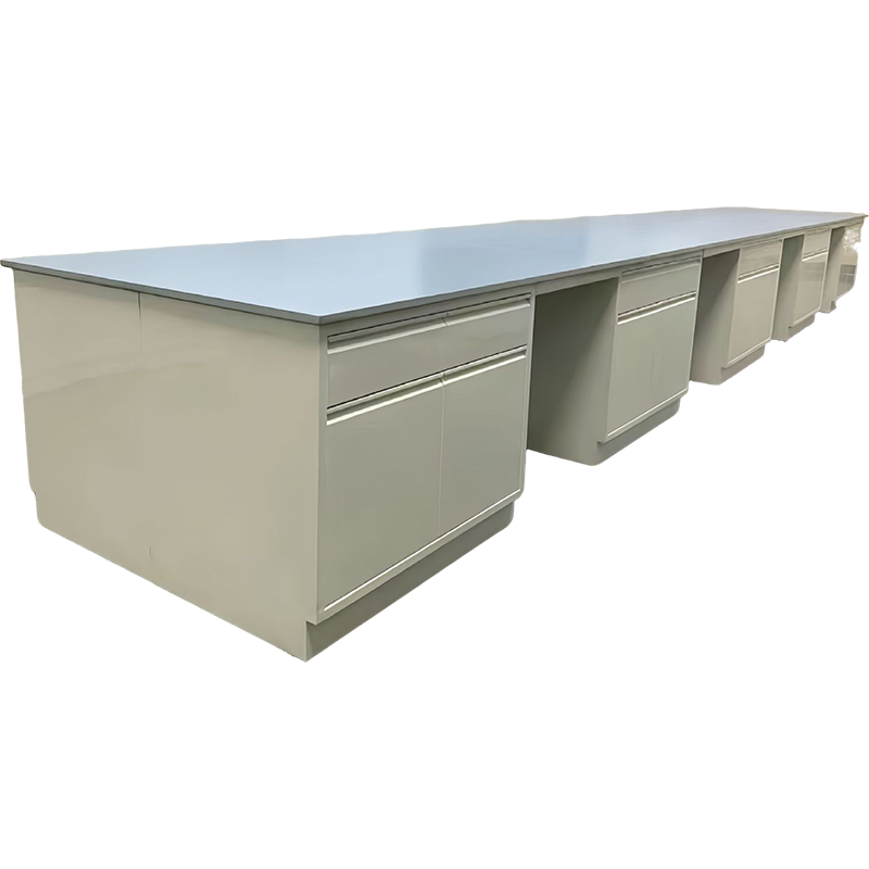 鑫导 实验台 SYT165-钢木边台定制 米高清大图