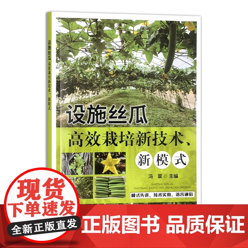 设施丝瓜高效栽培新技术、新模式 319905 冯翠 大32开 2024/6高清大图