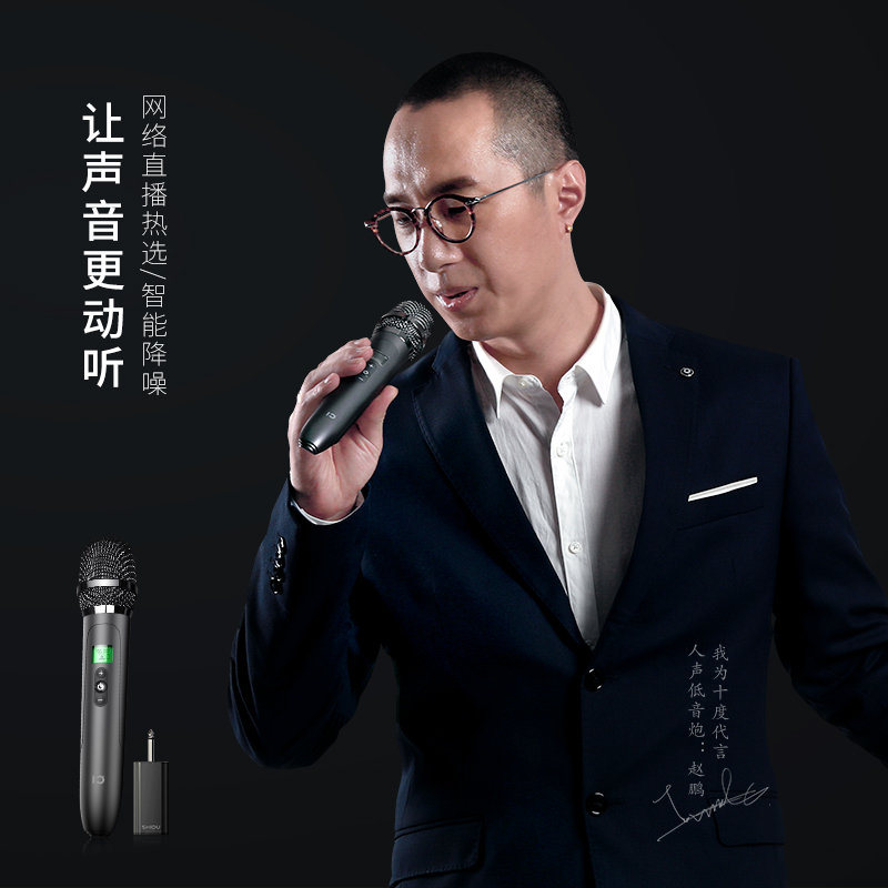 十度(ShiDu) U30 万能无线话筒网红主播用K歌麦克风会议舞台户外通用麦 通用双无线麦克风(升级版)