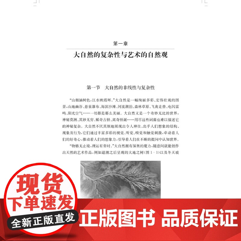 复杂性科学与艺术 范红亚袁国勇著上海科学技术出版社艺术自然科学理论图书高清大图