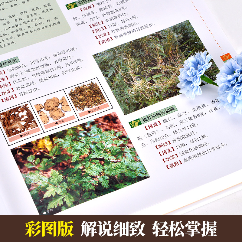 [醉染正版]中草药彩图家庭常见病中草药偏方大全4册偏方验方秘方中医养生保健中草药入门书籍民间医书彩色图谱材配方大全医学著高清大图