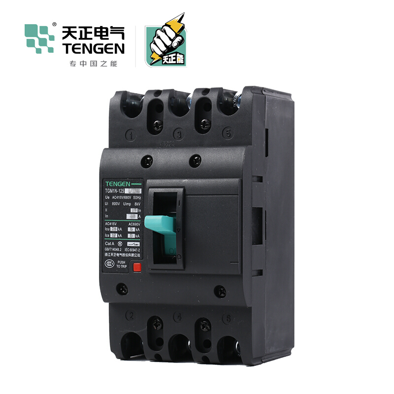 天正电气 TGM1N-125L 25KA 热磁式 63A 3P 手动 固定式380V 330021700039塑壳断路器