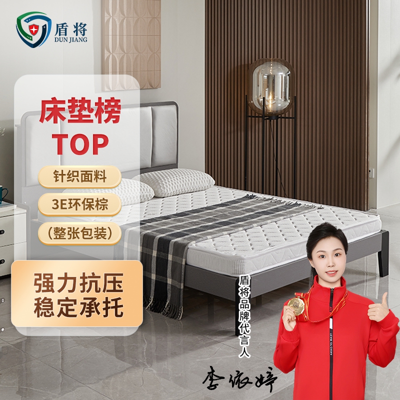 盾将 弹簧3E椰棕床垫 DJ-468S-CD020