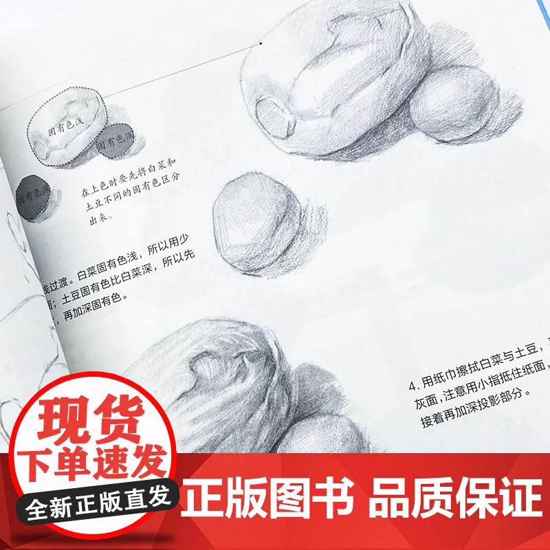 一通百通学素描 素描基础教程书素描速写临摹画册石膏几何体单体静物结构铅笔绘画入门初学临摹正统素描静物高清大图