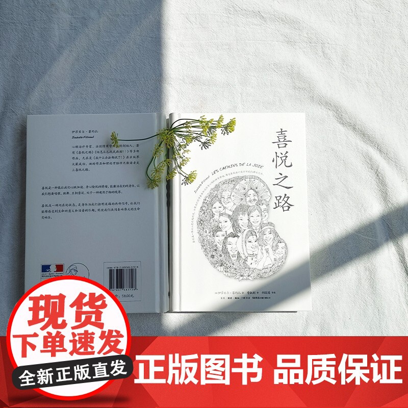 喜悦之路 伊莎贝尔·菲约扎 著 拓展读者意识的领域 增加日常生活中的喜悦 哲学高清大图