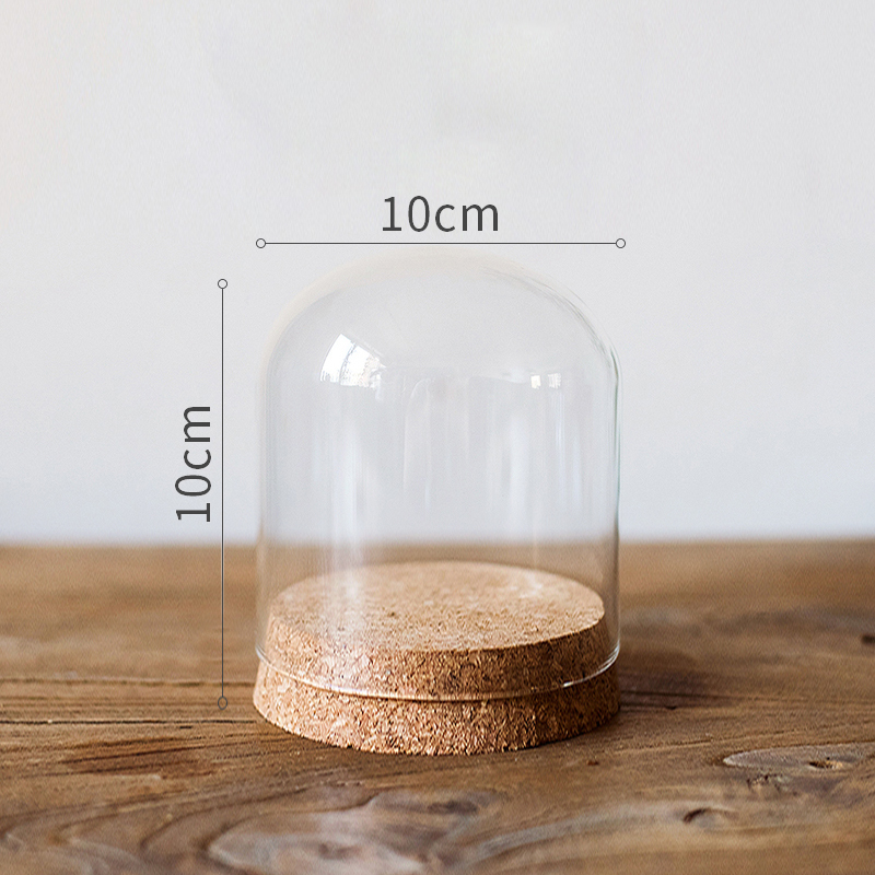 掬涵软木塞玻璃罩装饰摆件微景观干花标本公仔玩偶瓶diy礼物bl04755